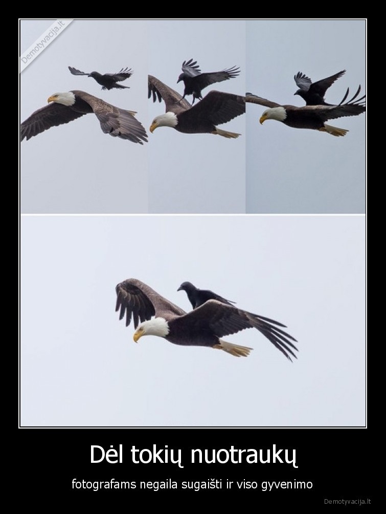 fotografai,gyvenimas,nuotrauka,laukimas