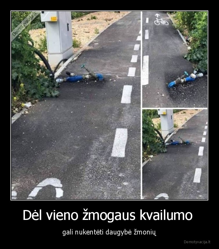 kvailumas,vienas,zmogus,daug,auku