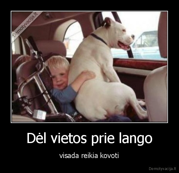 Dėl vietos prie lango