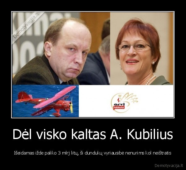 vesaite,kubilius,politika