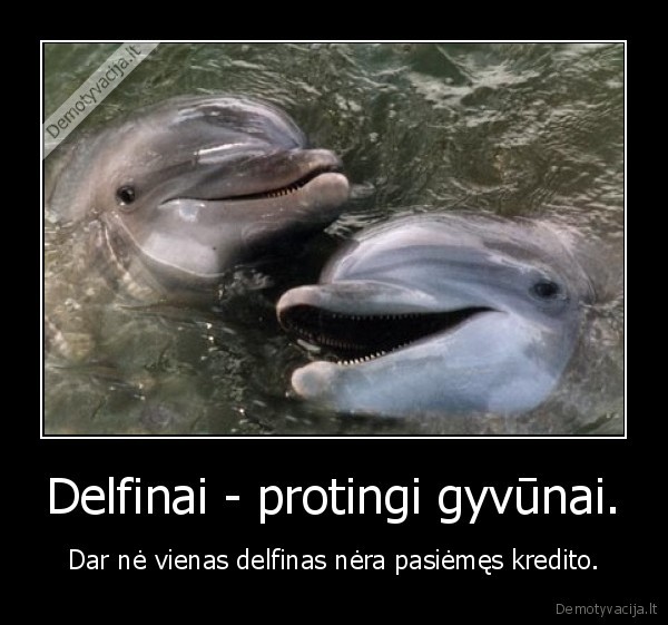 Delfinai - protingi gyvūnai.