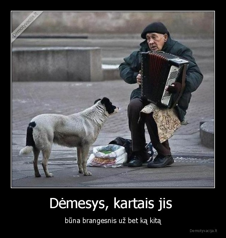 demesys,brangesnis,uz,bet, ka
