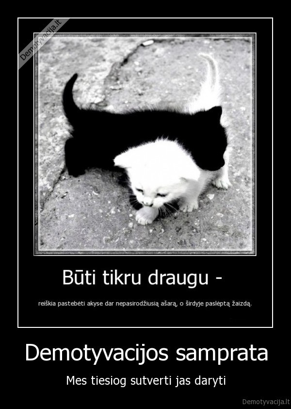 kvailos, demotyvacijos,nesuprantantys, demotyvaciju