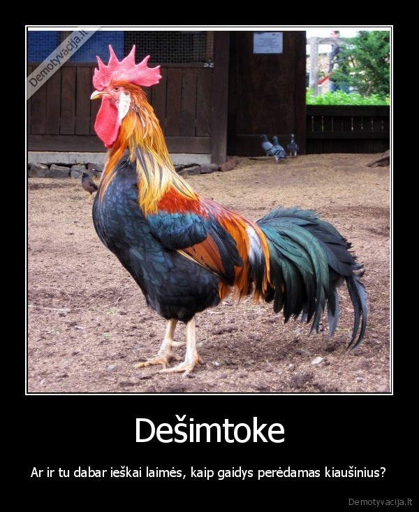 lietuviu, kalbos, egzaminas, sudas, kepure, ananasas, demotyvacija, kepure