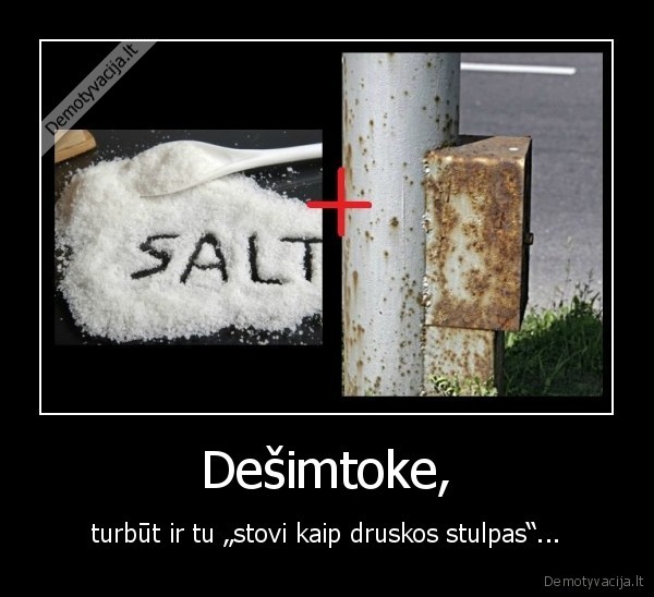 10tokai, lietuviu, egzaminas