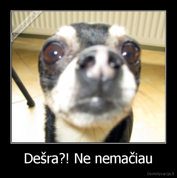 desra, suo, nemaciau