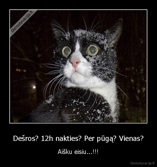 Dešros? 12h nakties? Per pūgą? Vienas?