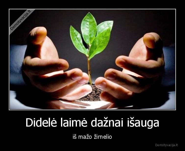 zirnelis,laime,didele