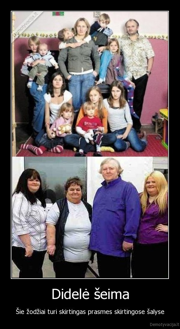 storas, didele, seima