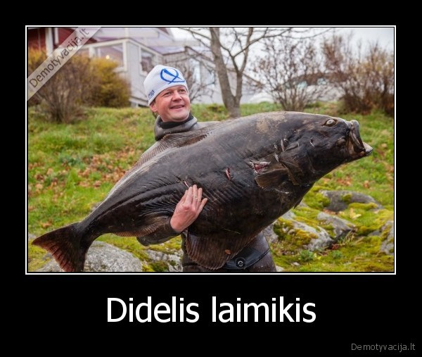 Didelis laimikis