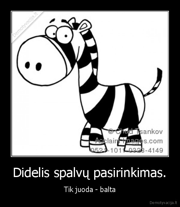 Didelis spalvų pasirinkimas.