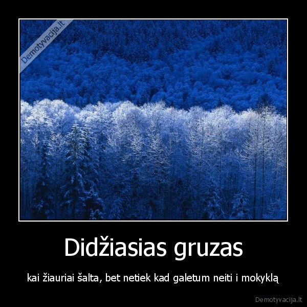 ziema, salta, saltis, gruzas, mokykla, darbas, darbas