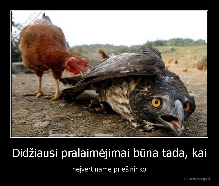 priesininkas,ivertinti,jegas,pralaimejimas,didziausias