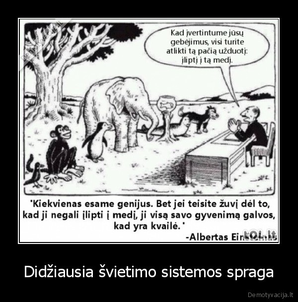 svietimo, sistema,mokslai,misko, zverys