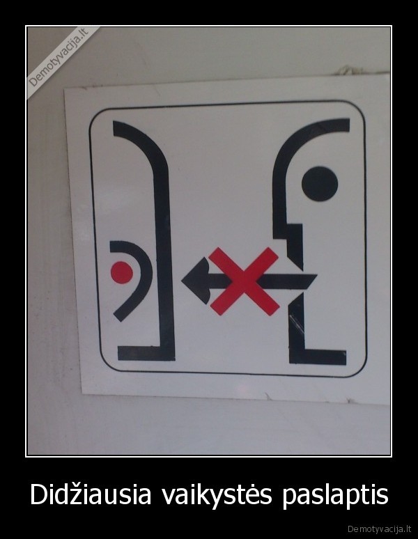 troleibusai,autobusai