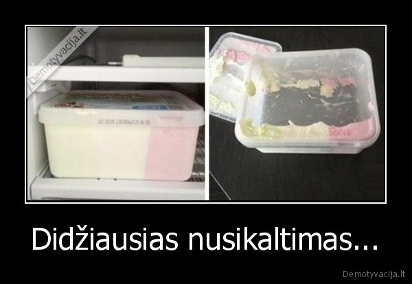 nusikaltimas,ledai,suvalgyti, ledus,apgauti,pokstai