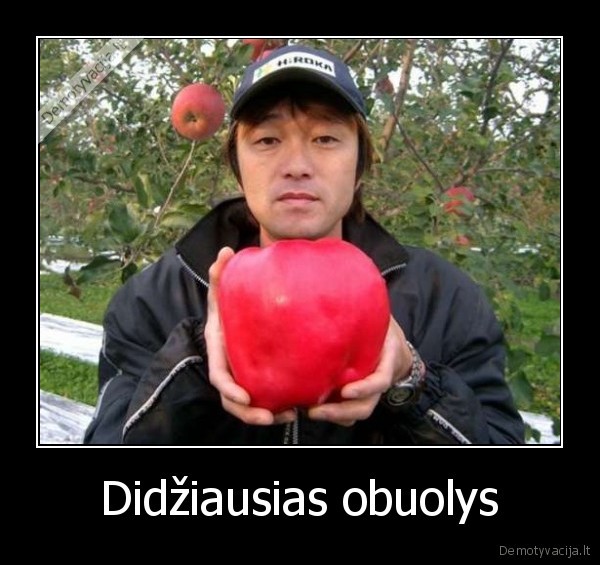 Didžiausias obuolys