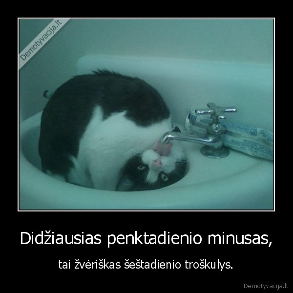 Didžiausias penktadienio minusas,