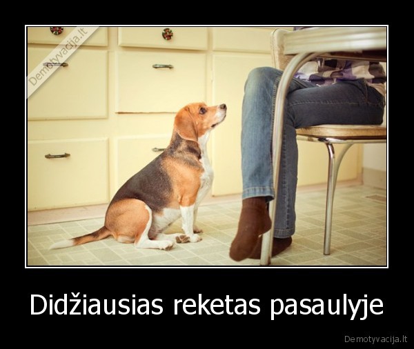 Didžiausias reketas pasaulyje