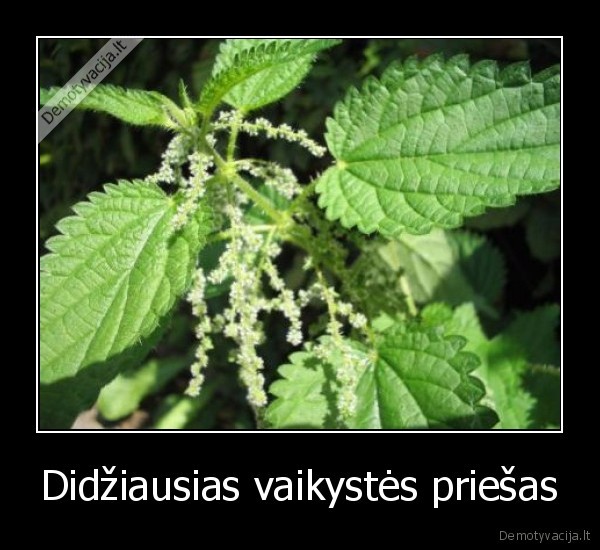 Didžiausias vaikystės priešas