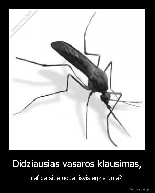 didziausias, vasaros, klausimas,nafiga, sitie, uodai, isvis, egzistuoja