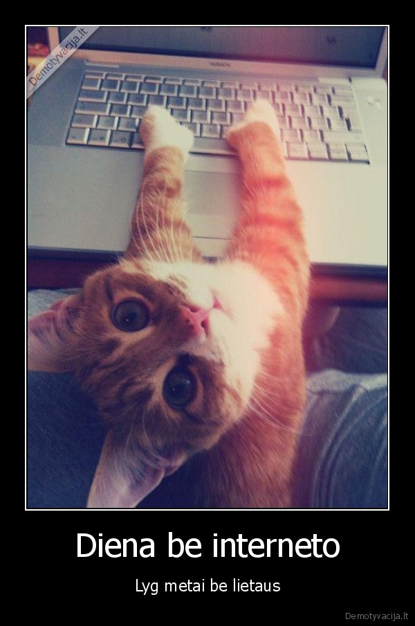 Diena be interneto
