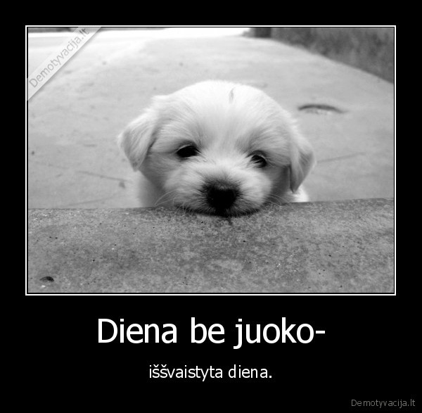 juokas,diena,liudesys,sypsena