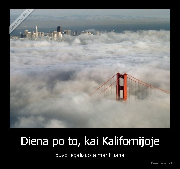kalifornija,legalizavimas,marihuana,420