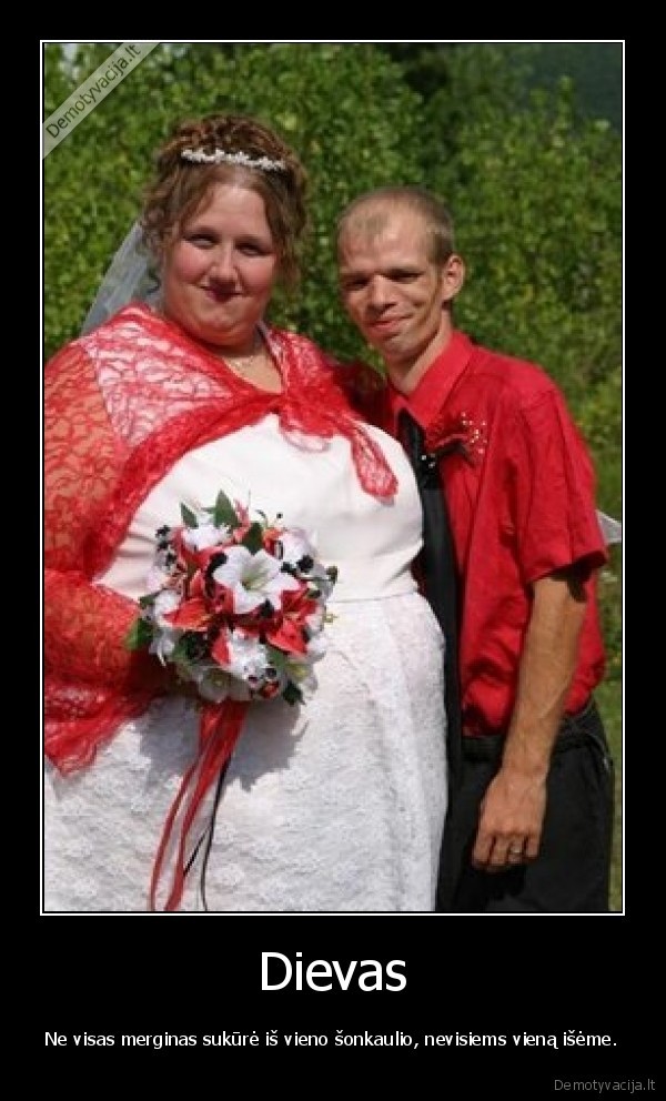 burbuls, ir, sakalys