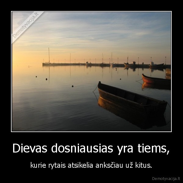 gana, miegot, lopai, jus, gi, vasara