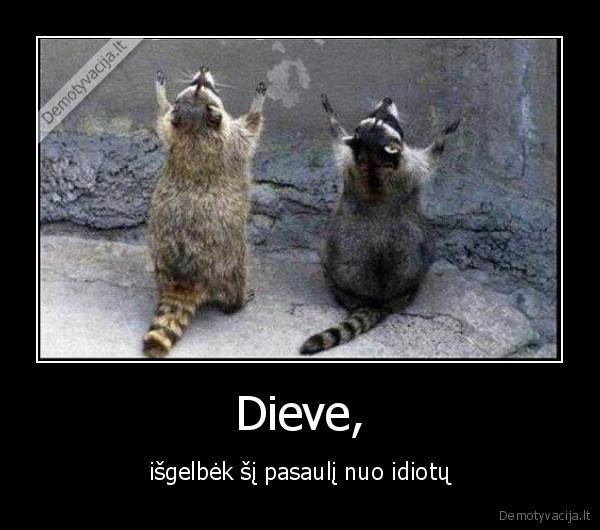 idiotai,pasaulis