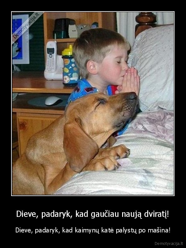 vaikas, gyvunas, malda