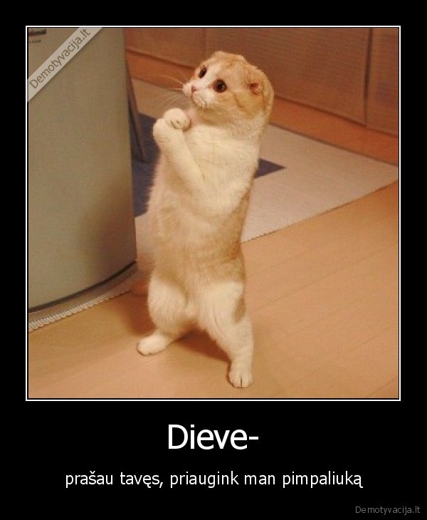 Dieve-