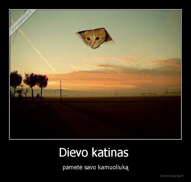 kamuoliukas,katinas,dievas