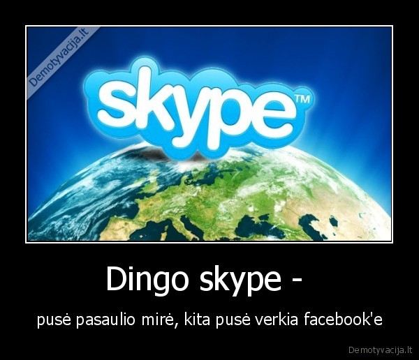 blecha, skype, dingo
