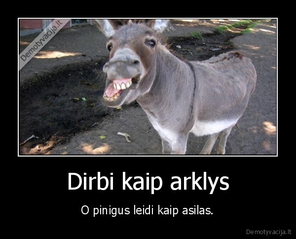 dirbti,arklys,asilas,pinigai