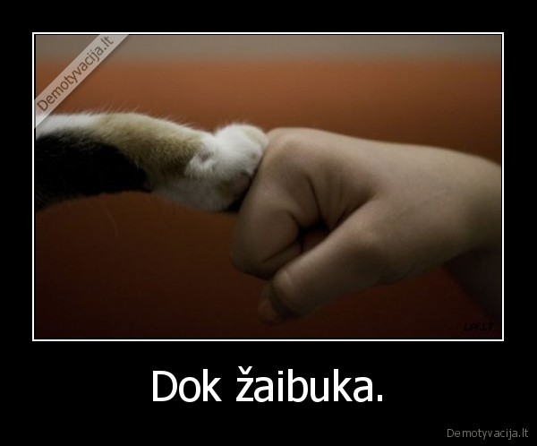 nu, ir, jimk, ta, zaibuka., ., 