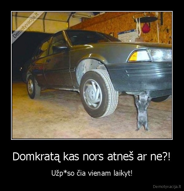 domkratas,masina,axujenas, katinas,lauzas,kaciokas,servisas,mldc