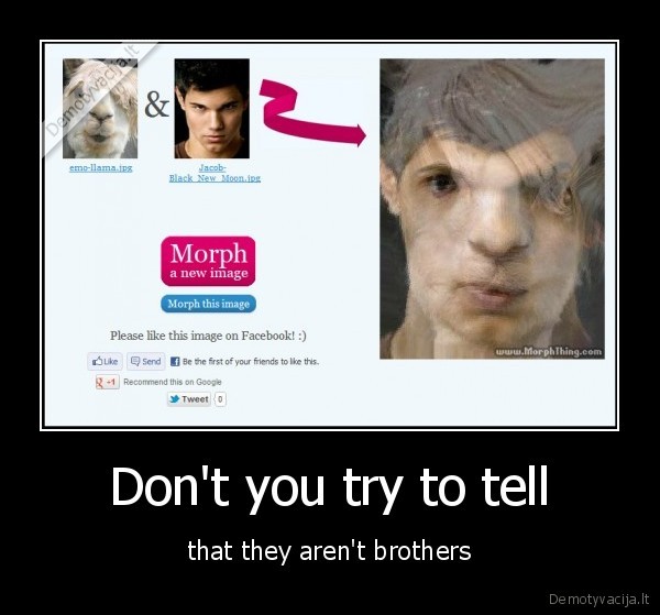 jacob,black,llama,morph,pic,paveikslas,jungti,lama