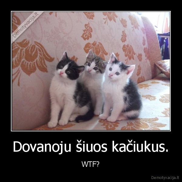 Dovanoju šiuos kačiukus.