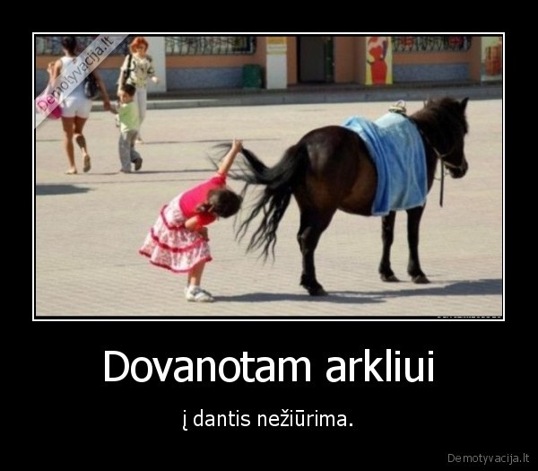 arklys,dantys,sikna
