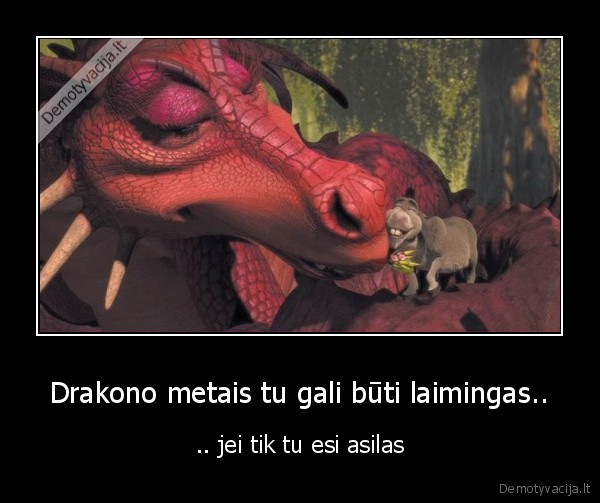 srekas,asilas,drakono, metai