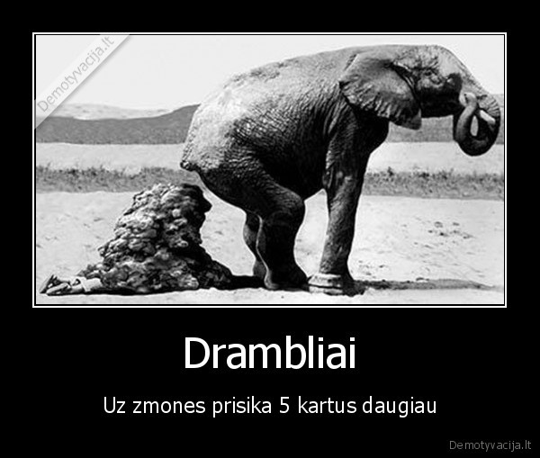 Drambliai