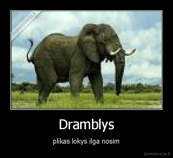 drambliukas