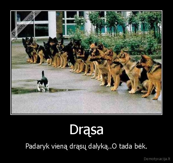 padaryk, viena, drasu, dalyka, o, tada, bek