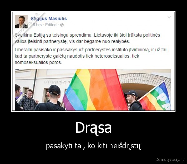 liberalai,politika,lgbt,partneryste,lygybe