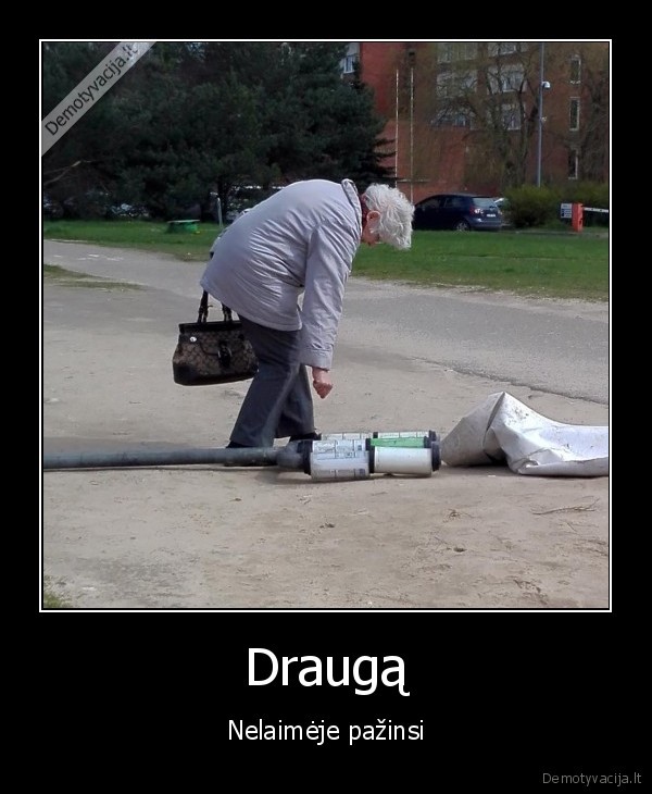 draugas,stotele,tvarkarasciai