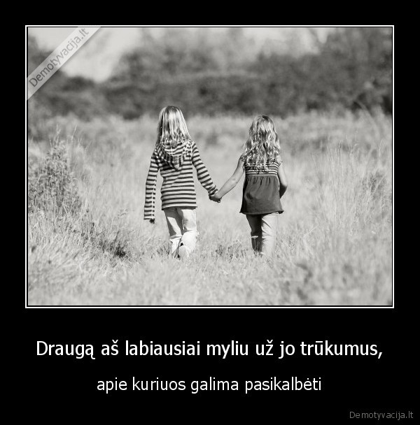 Draugą aš labiausiai myliu už jo trūkumus,