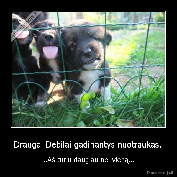 Draugai Debilai gadinantys nuotraukas..