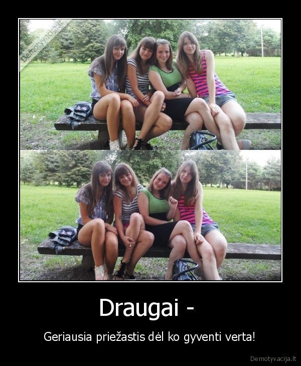 Draugai - 